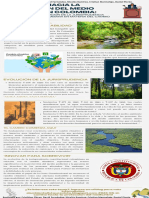 Grupo Flórez Infografía