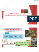 Clase Sesión 11. Meiosis