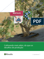 Rivulis Mirtilos Portuguese Portugal 20210204 Web
