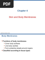 Integumentary System