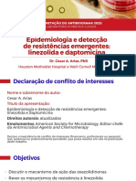 Epidemiologia e Detecção de Resistências Emergentes Linezolida e Daptomicina