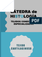 (B) Tejido Conectivo 2 (Cartilaginoso, Óseo, Adiposo)