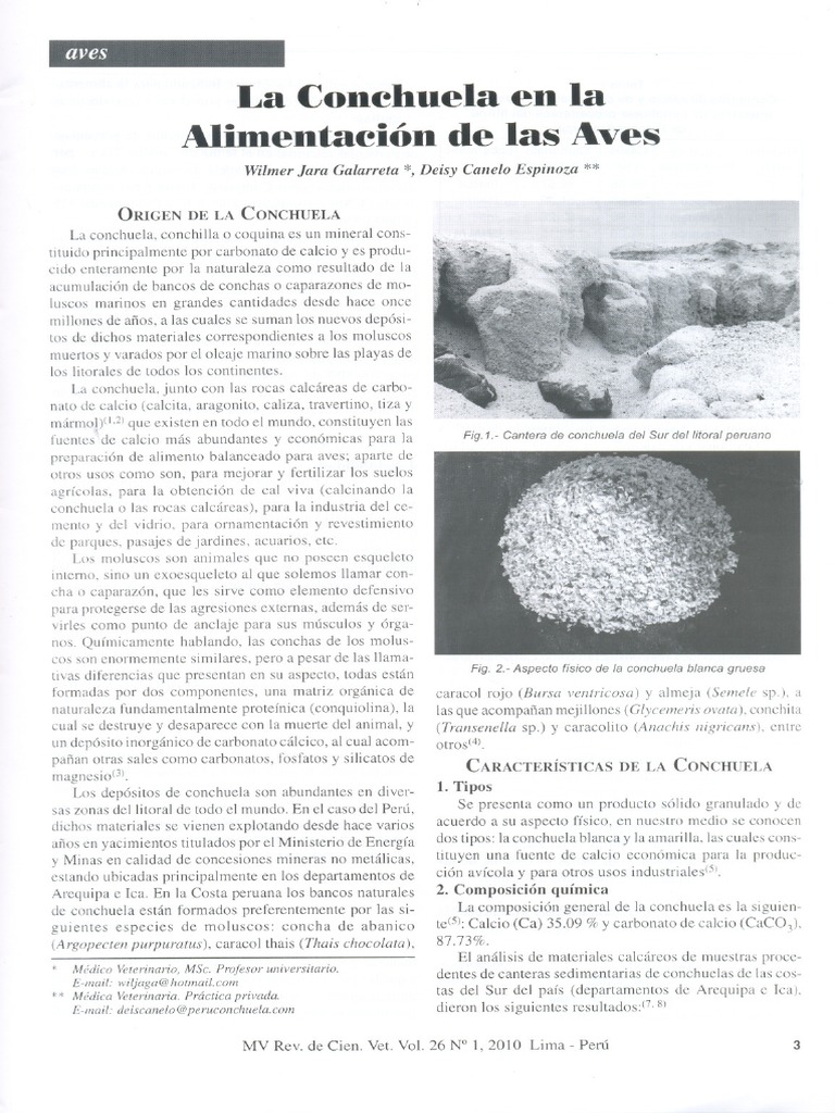 La Conchuela en Alimentación de Las Aves | PDF | Calcio | Caliza