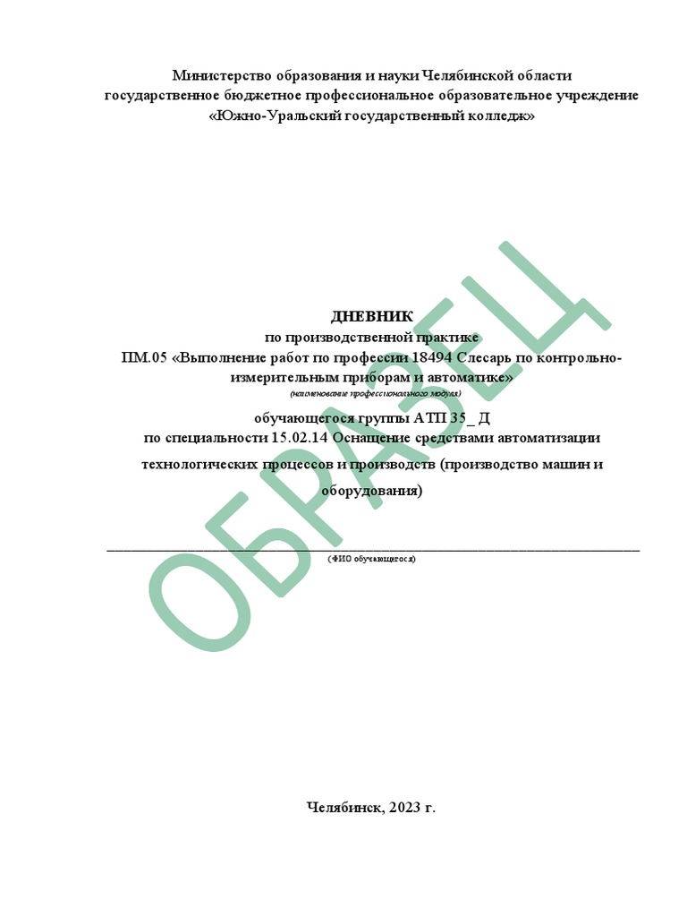 Образец Дневника ОСА ПП 05 | PDF
