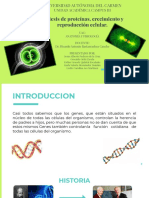 Sintesisdeproteinas Mitosisymeiosis