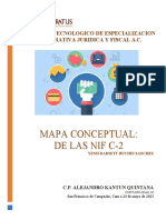 MAPA CONCEPTUAL DEL TEMA DE LAS NIF C-2