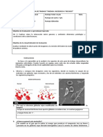 Guia Ciencias de La Salud Anemia Facilforme