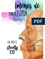 Resúmenes Anatomía I