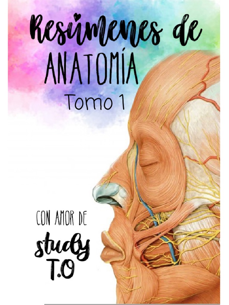 Resúmenes Anatomía I Pdf Articulación Sistema Nervioso