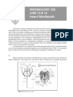 Mouthparts