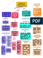 Historia de Los Derechos Humanos A4