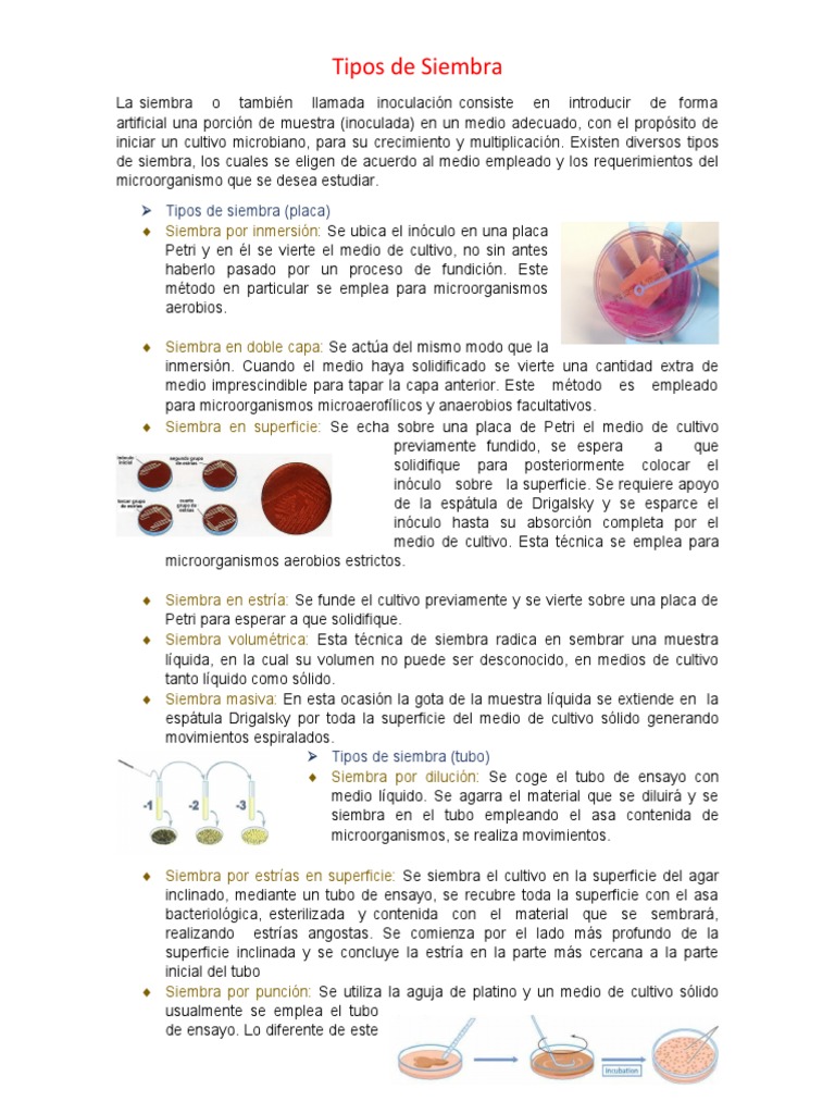Tipos de Siembra | PDF | Siembra | Microorganismo