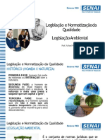 Legislação E Normatizaçãoda Qualidade Legislaçãoambiental: Prof. Rafael Novais