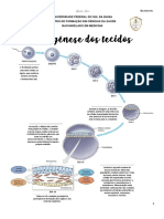 Histologia - Tecido Conjuntivo