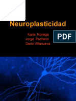 Neuroplasticidad