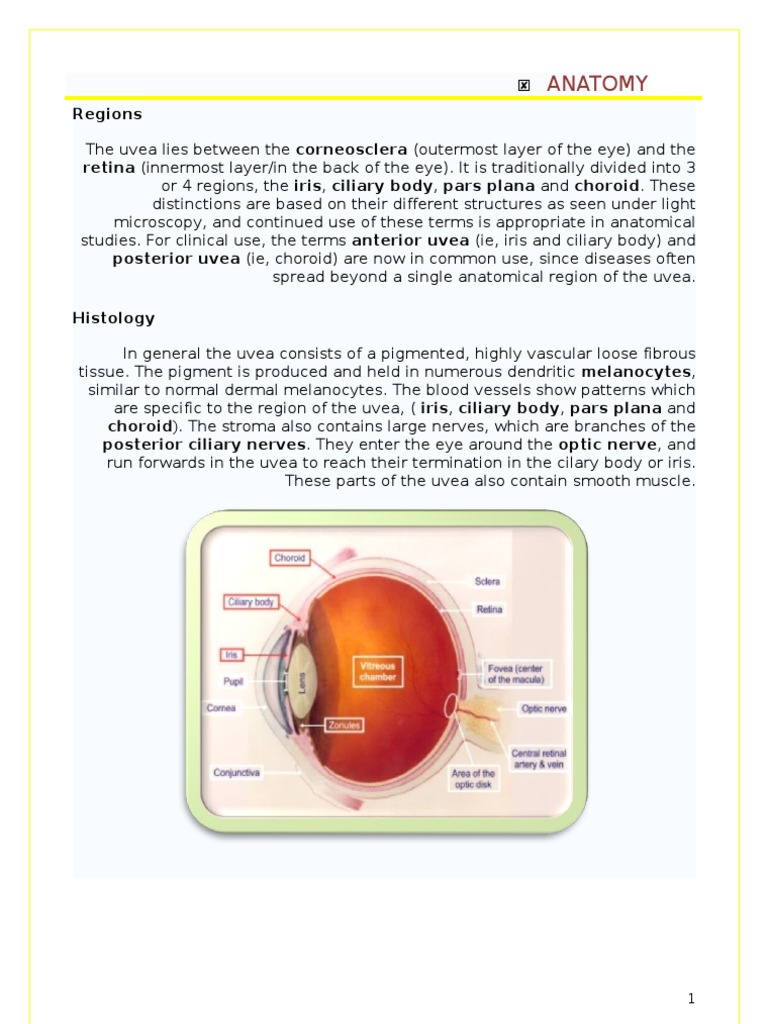 Uveitis The Recent 2003 | PDF | Immunology | Medical Specialties