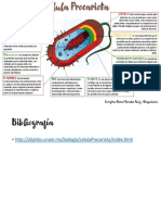 Celula Procariota PDF