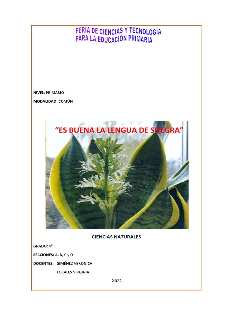 Feria de Ciencias y Tecnología 514 | PDF | Fertilizante | Agua