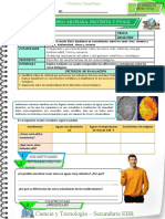 D-1º Act 4 Cyt Unid 1 - Sem 4