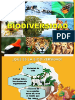 Bio Divers I Dad