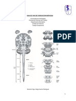Guia de Vias de Conducción Nerviosa
