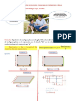 Ficha de Aplicación de Áreas y Perímetros