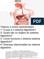 Sistema Digestório (3)