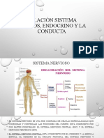 Relacion Sistema Nervios Endocrino y Conducta