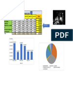 8 1 GR Ficos en Excel