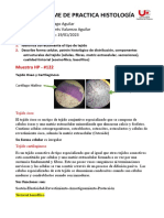 Informe de Practica Histología