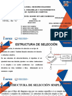 Presentación Estructura de Seleccion