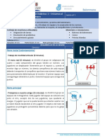 BM UD1-Sesion7 Compressed