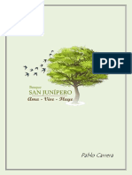 Bosque SAN JUNIPERO
