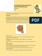 Analisis en Proceso de Deglucion