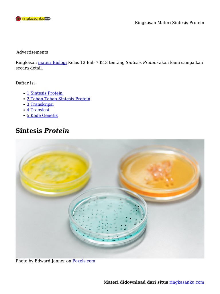 Rangkuman Sintesis Protein Kelas 12 | PDF | Memasak, Makanan, & Anggur ...