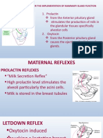 Anatomy of Female Breast 4