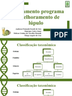 Melhoramento Lúpulo