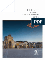 Tiber-Pt Implementation Guide