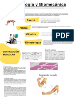 Biomecanica