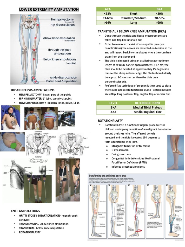 ortho-final-exam-pdf-prosthesis-amputation