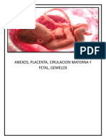 Anexos, Placenta, Cirulacion Materna y Fetal, Gemelos