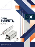 Catalog Cilindri Pneumatici - BARTROM2