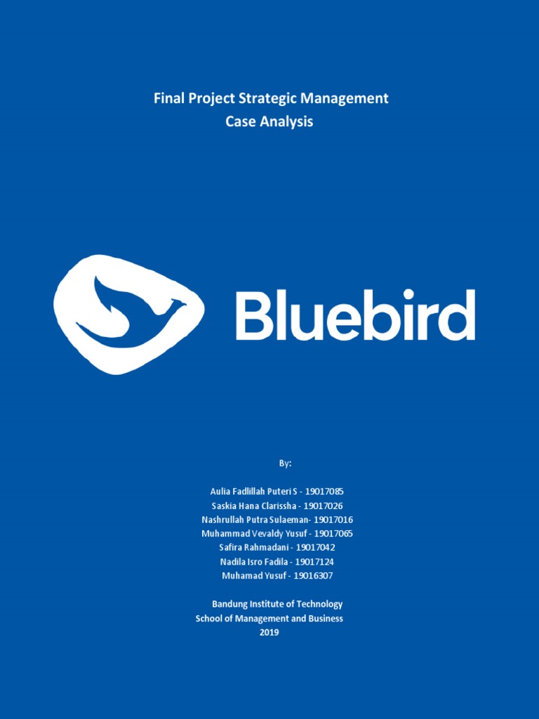 BlueBird Strategic Management Case Study | PDF | Petroleum | Strategic ...