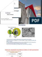 Repaso Solemne 3 Bio