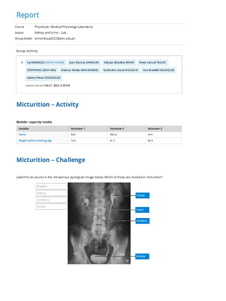 Lab Report For Urine