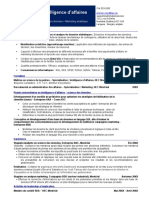 CV Intelligence D Affaires FR VF2