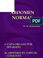 Abdomen Normal