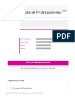 1-Dossier Professionnel TSSR