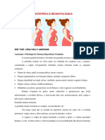 1 - Apostila de Obstetrica PDF