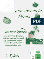 Vascular System in Plants 1